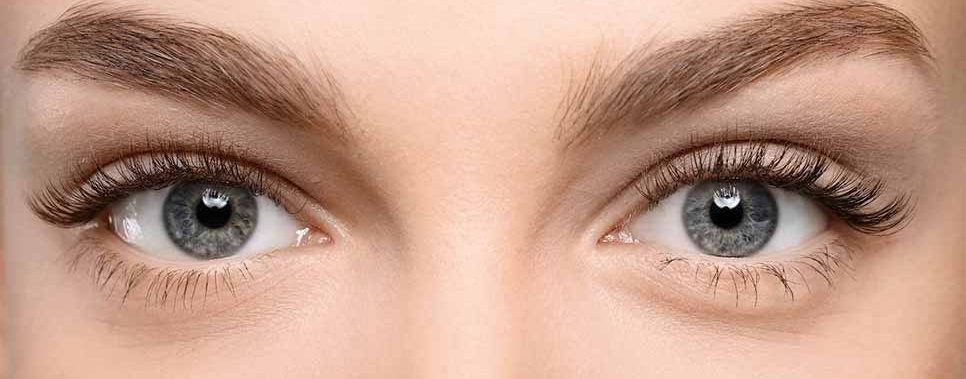 two close up female brown eyes looking straight ahead